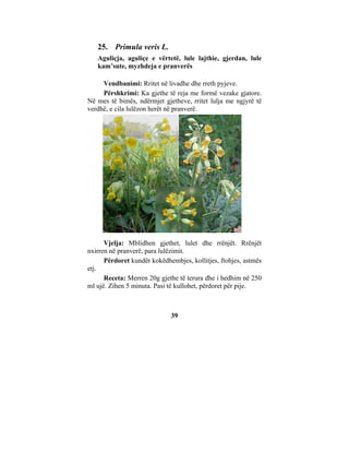 25. Primula veris L.
   Aguliçja, aguliçe e vërtetë, lule lajthie, gjerdan, lule
   kam’sute, myzhdeja e pranverës

     Vendbanimi: Rritet në livadhe dhe rreth pyjeve.
     Përshkrimi: Ka gjethe të reja me formë vezake gjatore.
Në mes të bimës, ndërmjet gjetheve, rritet lulja me ngjyrë të
verdhë, e cila lulëzon herët në pranverë.




      Vjelja: Mblidhen gjethet, lulet dhe rrënjët. Rrënjët
nxirren në pranverë, para lulëzimit.
      Përdoret kundër kokëdhembjes, kollitjes, ftohjes, astmës
etj.
      Receta: Merren 20g gjethe të terura dhe i hedhim në 250
ml ujë. Zihen 5 minuta. Pasi të kullohet, përdoret për pije.



                             39
 