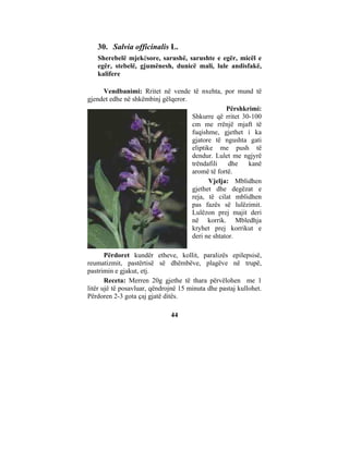 30. Salvia officinalis L.
   Sherebelë mjekësore, sarushë, sarushte e egër, micël e
   egër, stebelë, gjumënesh, dunicë mali, lule andisfakë,
   kalifere

     Vendbanimi: Rritet në vende të nxehta, por mund të
gjendet edhe në shkëmbinj gëlqeror.
                                                 Përshkrimi:
                                    Shkurre që rritet 30-100
                                    cm me rrënjë mjaft të
                                    fuqishme, gjethet i ka
                                    gjatore të ngushta gati
                                    eliptike me push të
                                    dendur. Lulet me ngjyrë
                                    trëndafili    dhe   kanë
                                    aromë të fortë.
                                           Vjelja: Mblidhen
                                    gjethet dhe degëzat e
                                    reja, të cilat mblidhen
                                    pas fazës së lulëzimit.
                                    Lulëzon prej majit deri
                                    në korrik. Mbledhja
                                    kryhet prej korrikut e
                                    deri ne shtator.

       Përdoret kundër etheve, kollit, paralizës epilepsisë,
reumatizmit, pastërtisë së dhëmbëve, plagëve në trupë,
pastrimin e gjakut, etj.
       Receta: Merren 20g gjethe të thara përvëlohen me 1
litër ujë të posavluar, qëndrojnë 15 minuta dhe pastaj kullohet.
Përdoren 2-3 gota çaj gjatë ditës.

                              44
 