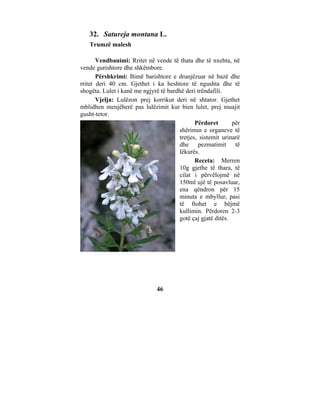32. Satureja montana L.
   Trumzë malesh

       Vendbanimi: Rritet në vende të thata dhe të nxehta, në
vende gurishtore dhe shkëmbore.
       Përshkrimi: Bimë barishtore e drunjëzuar në bazë dhe
rritet deri 40 cm. Gjethet i ka heshtore të ngushta dhe të
shogëta. Lulet i kanë me ngjyrë të bardhë deri trëndafili.
       Vjelja: Lulëzon prej korrikut deri në shtator. Gjethet
mblidhen menjëherë pas lulëzimit kur bien lulet, prej muajit
gusht-tetor.
                                              Përdoret       për
                                       shërimin e organeve të
                                       tretjes, sistemit urinarë
                                       dhe pezmatimit të
                                       lëkurës.
                                              Receta: Merren
                                       10g gjethe të thara, të
                                       cilat i përvëlojmë në
                                       150ml ujë të posavluar,
                                       ena qëndron për 15
                                       minuta e mbyllur, pasi
                                       të ftohet e bëjmë
                                       kullimin. Përdoren 2-3
                                       gotë çaj gjatë ditës.




                              46
 