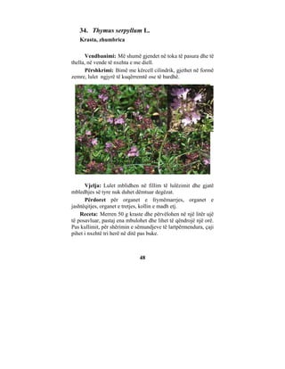 34. Thymus serpyllum L.
   Krasta, zhumbrica

       Vendbanimi: Më shumë gjendet në toka të pasura dhe të
thella, në vende të nxehta e me diell.
       Përshkrimi: Bimë me kërcell cilindrik, gjethet në formë
zemre, lulet ngjyrë të kuqërremtë ose të bardhë.




      Vjelja: Lulet mblidhen në fillim të lulëzimit dhe gjatë
mbledhjes së tyre nuk duhet dëmtuar degëzat.
      Përdoret për organet e frymëmarrjes, organet e
jashtëqitjes, organet e tretjes, kollin e madh etj.
    Receta: Merren 50 g kraste dhe përvëlohen në një litër ujë
të posavluar, pastaj ena mbulohet dhe lihet të qëndrojë një orë.
Pas kullimit, për shërimin e sëmundjeve të lartpërmendura, çaji
pihet i nxehtë tri herë në ditë pas buke.



                              48
 
