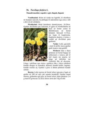 36. Tussilago farfara L.
   Thundërmushkë, rapuhë e egër, llapuh, llapush

      Vendbanimi: Rritet në vende me lagështi, të shembura
në skarpate natyrale, ka përhapje të zakonshme nga zona e ulët
e deri në atë subalpine.
      Përshkrimi: Bimë barishtore shumëvjeçare, 10-20cm.
Gjethet zhvillohen pas lulëzimit, të gjëra të rrumbullakëta në
                                  bazë në formë zemre të
                                  dhëmbëzuara         në    formë
                                  këndesh. Kërcejtë 4-15cm,
                                  me luspa të kuqërremta.
                                  Kaptinëza skajore, e vetme, e
                                  verdhë që zhvillohet para
                                  gjethimit.
                                        Vjelja: Lulet, gjysmën
                                  e dytë të prillit, kurse gjethet
                                  gjatë muajve maj-gushtë.
                                        Përdoret lulet e thara
                                  përdoren në formë llapaje në
                                  infeksionet e venave, për të
                                  larë trupin me puçrra, në
                                  plage që shërohen me
                                  vështirësi dhe në ekczema.
Lëngu i përfituar nga zierja e gjetheve dhe e luleve përdoret
kundër skuqjes së stomakut, diarresë, kundër kollës, anginës,
kundër reumës etj. Gjethet e grira si duhan përdoren kundër
astmës.
      Receta: Lulet merren në formë infuzi (gjysma e lugës së
gjellës në 500 ml ujë), për astmën bronkiale. Gjethet mund
merren, gjithashtu nga goja, në formë infuzi, duke përdorur 2-4
g masë të grimcuar; ku doza ditore arrin deri 10g në ditë.


                               50
 