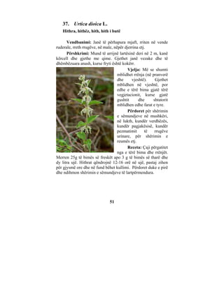 37. Urtica dioica L.
   Hithra, hithëz, hith, hith i butë

      Vendbanimi: Janë të përhapura mjaft, rriten në vende
ruderale, rreth rrugëve, në male, nëpër djerrina etj.
      Përshkrimi: Mund të arrijnë lartësinë deri në 2 m, kanë
kërcell dhe gjethe me qime. Gjethet janë vezake dhe të
dhëmbëzuara anash, kurse fryti është kokërr.
                                          Vjelja: Më se shumti
                                    mblidhet rrënja (në pranverë
                                    dhe     vjeshtë).    Gjethet
                                    mblidhen në vjeshtë, por
                                    edhe e tërë bima gjatë tërë
                                    vegjetacionit, kurse gjatë
                                    gushtit     dhe     shtatorit
                                    mblidhen edhe farat e tyre.
                                          Përdoret për shërimin
                                    e sëmundjeve në mushkëri,
                                    në lukth, kundër verdhëzës,
                                    kundër pagjakësisë, kundër
                                    pezmatimit      të   rrugëve
                                    urinare, për shërimin e
                                    reumës etj.
                                          Receta: Çaji përgatitet
                                    nga e tërë bima dhe rrënjët.
Merren 25g të bimës së freskët apo 3 g të bimës së tharë dhe
dy litra ujë. Hithrat qëndrojnë 12-16 orë në ujë, pastaj zihen
për gjysmë ore dhe në fund bëhet kullimi. Përdoret duke e pirë
dhe ndihmon shërimin e sëmundjeve të lartpërmendura.




                               51
 