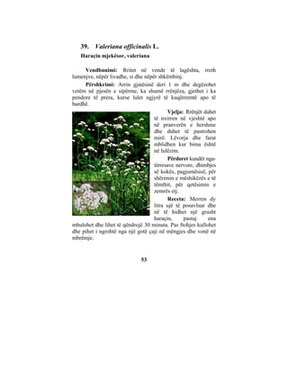 39. Valeriana officinalis L.
   Haraçin mjekësor, valeriana

     Vendbanimi: Rritet në vende të lagështa, rreth
lumenjve, nëpër livadhe, si dhe nëpër shkëmbinj.
     Përshkrimi: Arrin gjatësinë deri 1 m dhe degëzohet
vetëm në pjesën e sipërme, ka shumë rrënjëza, gjethet i ka
pendore të prera, kurse lulet ngjyrë të kuqërremtë apo të
bardhë.
                                           Vjelja: Rrënjët duhet
                                    të nxirren në vjeshtë apo
                                    në pranverën e hershme
                                    dhe duhet të pastrohen
                                    mirë. Lëvorja dhe farat
                                    mblidhen kur bima është
                                    në lulëzim.
                                           Përdoret kundër nga-
                                    tërresave nervore, dhimbjes
                                    së kokës, pagjumësisë, për
                                    shërimin e mëshikëzës e të
                                    tëmthit, për qetësimin e
                                    zemrës etj.
                                           Receta: Merren dy
                                    litra ujë të posavluar dhe
                                    në të hidhet një grusht
                                    haraçin,      pastaj     ena
mbulohet dhe lihet të qëndrojë 30 minuta. Pas ftohjes kullohet
dhe pihet i ngrohtë nga një gotë çaji në mëngjes dhe vonë në
mbrëmje.


                              53
 