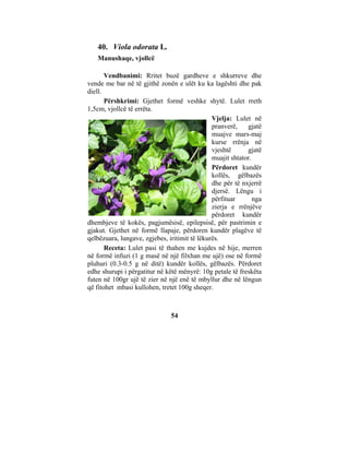40. Viola odorata L.
   Manushaqe, vjollcë

       Vendbanimi: Rritet buzë gardheve e shkurreve dhe
vende me bar në të gjithë zonën e ulët ku ka lagështi dhe pak
diell.
       Përshkrimi: Gjethet formë veshke shytë. Lulet rreth
1,5cm, vjollcë të errëta.
                                               Vjelja: Lulet në
                                               pranverë,    gjatë
                                               muajve mars-maj
                                               kurse rrënja në
                                               vjeshtë      gjatë
                                               muajit shtator.
                                               Përdoret kundër
                                               kollës, gëlbazës
                                               dhe për të nxjerrë
                                               djersë. Lëngu i
                                               përfituar       nga
                                               zierja e rrënjëve
                                               përdoret kundër
dhembjeve të kokës, pagjumësisë, epilepsisë, për pastrimin e
gjakut. Gjethet në formë llapaje, përdoren kundër plagëve të
qelbëzuara, lungave, zgjebes, iritimit të lëkurës.
       Receta: Lulet pasi të thahen me kujdes në hije, merren
në formë infuzi (1 g masë në një filxhan me ujë) ose në formë
pluhuri (0.3-0.5 g në ditë) kundër kollës, gëlbazës. Përdoret
edhe shurupi i përgatitur në këtë mënyrë: 10g petale të freskëta
futen në 100gr ujë të zier në një enë të mbyllur dhe në lëngun
që fitohet mbasi kullohen, tretet 100g sheqer.



                               54
 