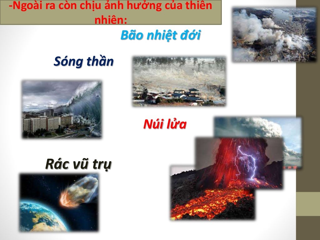 Powerpoint Ô nhiễm môi trường
