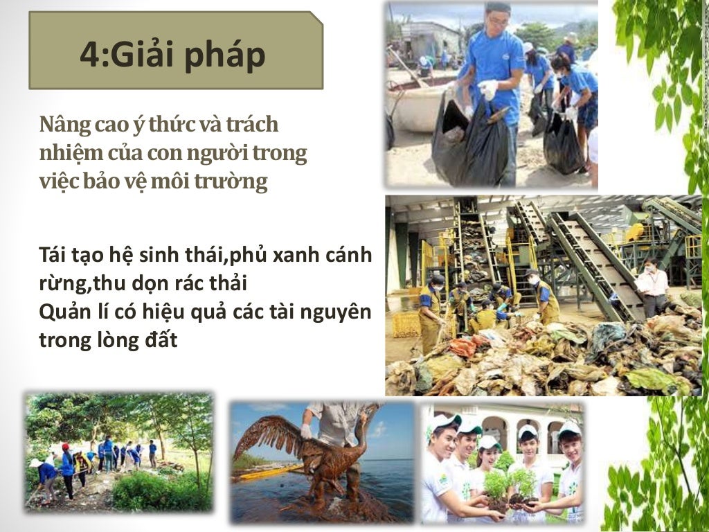 Mẫu Powerpoint Đẹp Về Môi Trường Xanh, Powerpoint Vấn Đề Ô …
