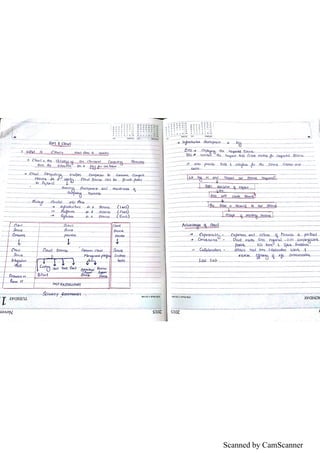 Bim notes | PDF