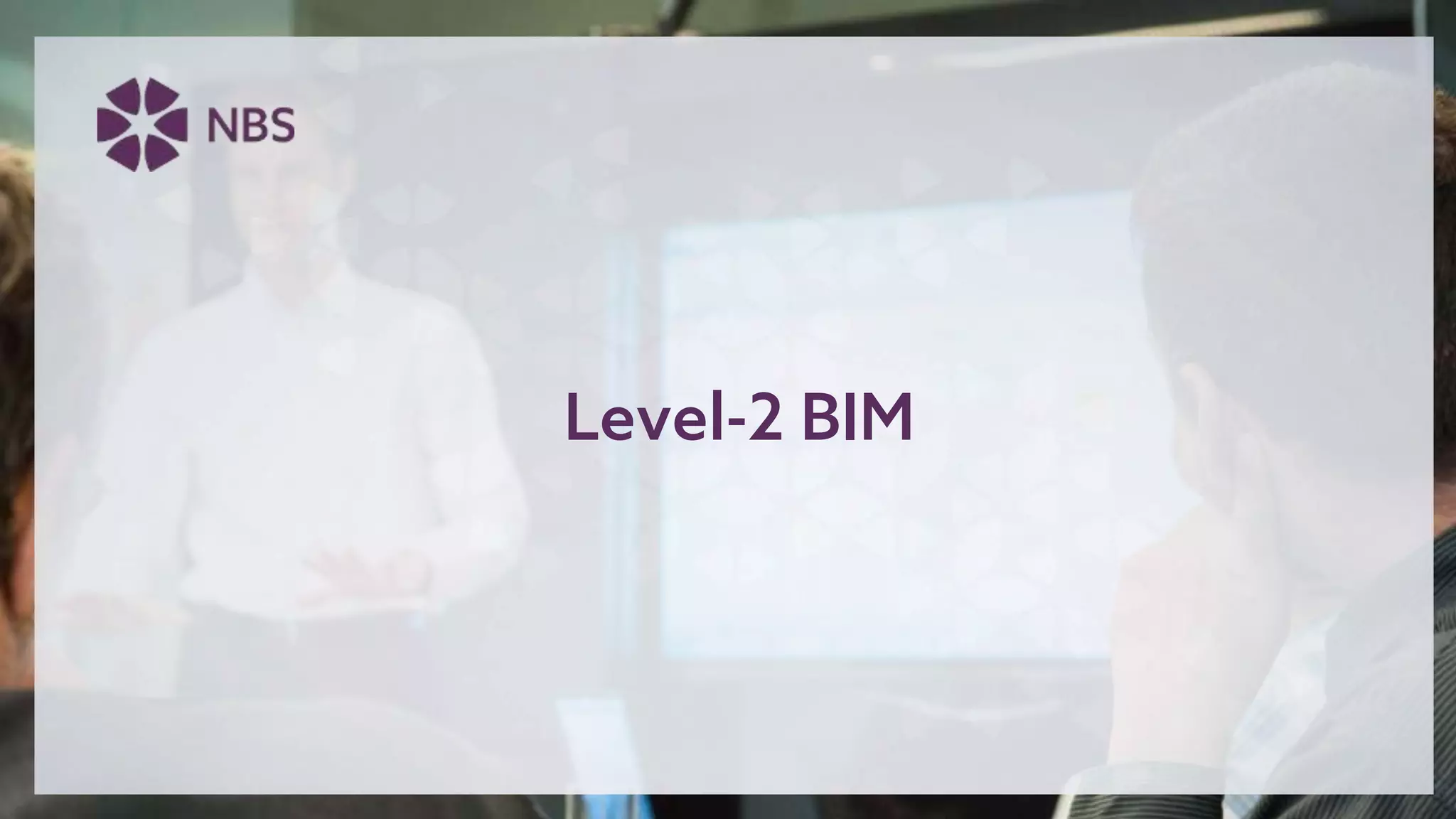 Level-2 BIM
 