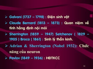 14
 Galvani (1737 – 1798) : Ñieän sinh vaät
 Claude Bernard (1813 – 1873) : Quan nieäm veà
tính haèng ñònh noäi moâi
 Sherrington (1859 – 1947) Setchenov ( 1829 –
1905 ) Broca ( 1861) : Sinh lyù thaàn kinh.
 Adrian & Sherrington (Nobel 1932): Chöùc
naêng cuûa neuron
 Pavlov (1849 – 1936) : HÑTKCC
 