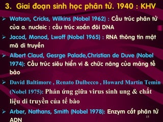 15
3. Giai ñoaïn sinh hoïc phaân töû. 1940 : KHV
 Watson, Cricks, Wilkins (Nobel 1962) : Caáu truùc phaân töû
cuûa a. nucleic : caáu truùc xoaén ñoâi DNA
 Jacod, Monod, Lwoff (Nobel 1965) : RNA thoâng tin maät
maõ di truyeàn
 Albert Claud, Gesrge Palade,Christian de Duve (Nobel
1974): Caáu truùc sieâu hieån vi & chöùc naêng cuûa maøng teá
baøo
 David Baltimore , Renato Dulbecco , Howard Martin Temin
(Nobel 1975): Phản ứng giữa virus sinh ung & chất
liệu di truyền của tế bào
 Arber, Nathans, Smith (Nobel 1978): Enzym caét phaân töû
 