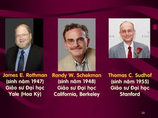 30
James E. Rothman
(sinh naêm 1947)
Giaùo sö Ñaïi hoïc
Yale (Hoa Kyø)
Randy W. Schekman
(sinh naêm 1948)
Giaùo sö Ñaïi hoïc
California, Berkeley
Thomas C. Sudhof
(sinh naêm 1955)
Giaùo sö Ñaïi hoïc
Stanford
 