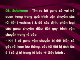 32
GS. Schekman : Tìm ra boä gene coù vai troø
quan troïng trong quaù trình vaän chuyeån caùc
tuùi tieát ( vesicles ) & ñaõ xaùc ñònh, phaân loaïi
caùc gene chuyeân ñieàu tieát quy trình vaän
chuyeån trong teá baøo.
- Khi 1 soá gene vaän chuyeån bò ñoät bieán seõ
gaây roái loaïn löu thoâng, caùc tuùi tieát bò aùch taéc
ôû 1 soá vò trí trong teá baøo  Gâaây beänh .
 