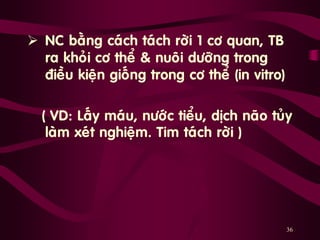 36
 NC baèng caùch taùch rôøi 1 cô quan, TB
ra khoûi cô theå & nuoâi döôõng trong
ñieàu kieän gioáng trong cô theå (in vitro)
( VD: Laáy maùu, nöôùc tieåu, dòch naõo tuûy
laøm xeùt nghieäm. Tim taùch rôøi )
 