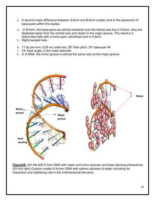 Forms of DNA | PDF