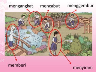 mengangkat   mencabut   menggembur




memberi
                          menyiram
 