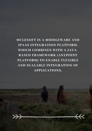 MULESOFT IS A MIDDLEWARE AND
IPAAS INTEGRATION PLATFORM,
WHICH COMBINES WITH A JAVA-
BASED FRAMEWORK (ANYPOINT
PLATFORM) TO ENABLE FLEXIBLE
AND SCALABLE INTEGRATION OF
APPLICATIONS.
 