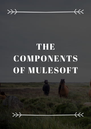 THE
COMPONENTS
OF MULESOFT
 