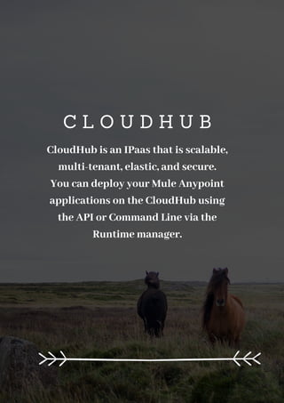 C L O U D H U B
CloudHub is an IPaas that is scalable,
multi-tenant, elastic, and secure.
You can deploy your Mule Anypoint
applications on the CloudHub using
the API or Command Line via the
Runtime manager.
 