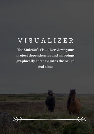 V I S U A L I Z E R
The MuleSoft Visualizer views your
project dependencies and mappings
graphically and navigates the API in
real-time.
 