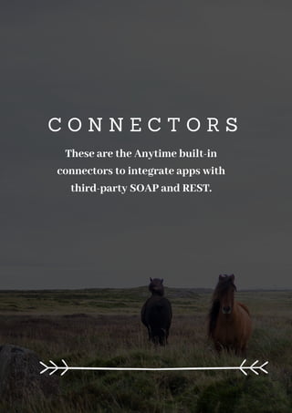 C O N N E C T O R S
These are the Anytime built-in
connectors to integrate apps with
third-party SOAP and REST.
 
