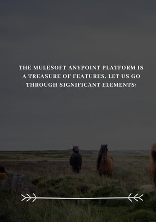 THE MULESOFT ANYPOINT PLATFORM IS
A TREASURE OF FEATURES. LET US GO
THROUGH SIGNIFICANT ELEMENTS:
 