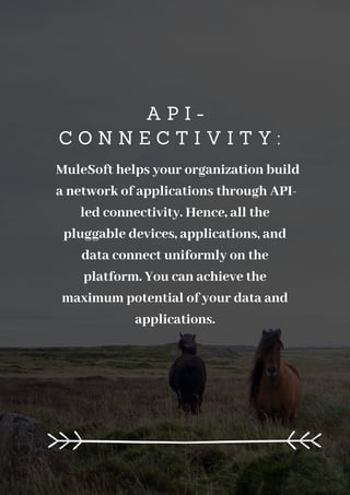 A P I -
C O N N E C T I V I T Y :
MuleSoft helps your organization build
a network of applications through API-
led connectivity. Hence, all the
pluggable devices, applications, and
data connect uniformly on the
platform. You can achieve the
maximum potential of your data and
applications.
 