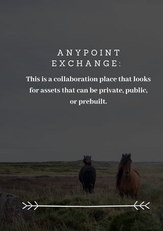 A N Y P O I N T
E X C H A N G E :
This is a collaboration place that looks
for assets that can be private, public,
or prebuilt.
 