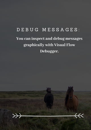 D E B U G M E S S A G E S :
You can inspect and debug messages
graphically with Visual Flow
Debugger.
 
