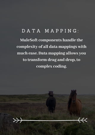 D A T A M A P P I N G :
MuleSoft components handle the
complexity of all data mappings with
much ease. Data mapping allows you
to transform drag and drop, to
complex coding.
 