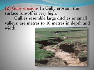 (2) Gully erosion- In Gully erosion, the
surface run-off is very high.
Gullies resemble large ditches or small
valleys; are metres to 10 metres in depth and
width.
 