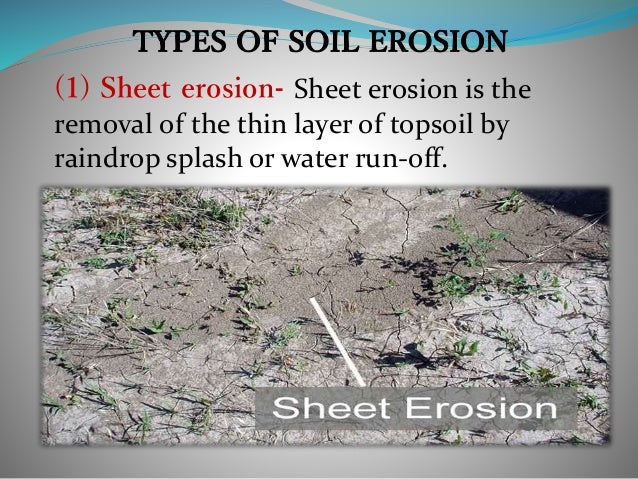 photo Types Of Soil Erosion Pictures soil erosion and conservation