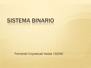 Sistema binario Fernando Coyotecatl Varela 132246 