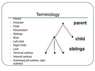 Terminology
 Parent
 Ancestor
 Child
 Descendant
 Siblings
 Root
 Left child
 Right Child
 Leaf
 Terminal vertices
 Internal vertices
 Subtrees(Left subtree ,right
subtree)
 