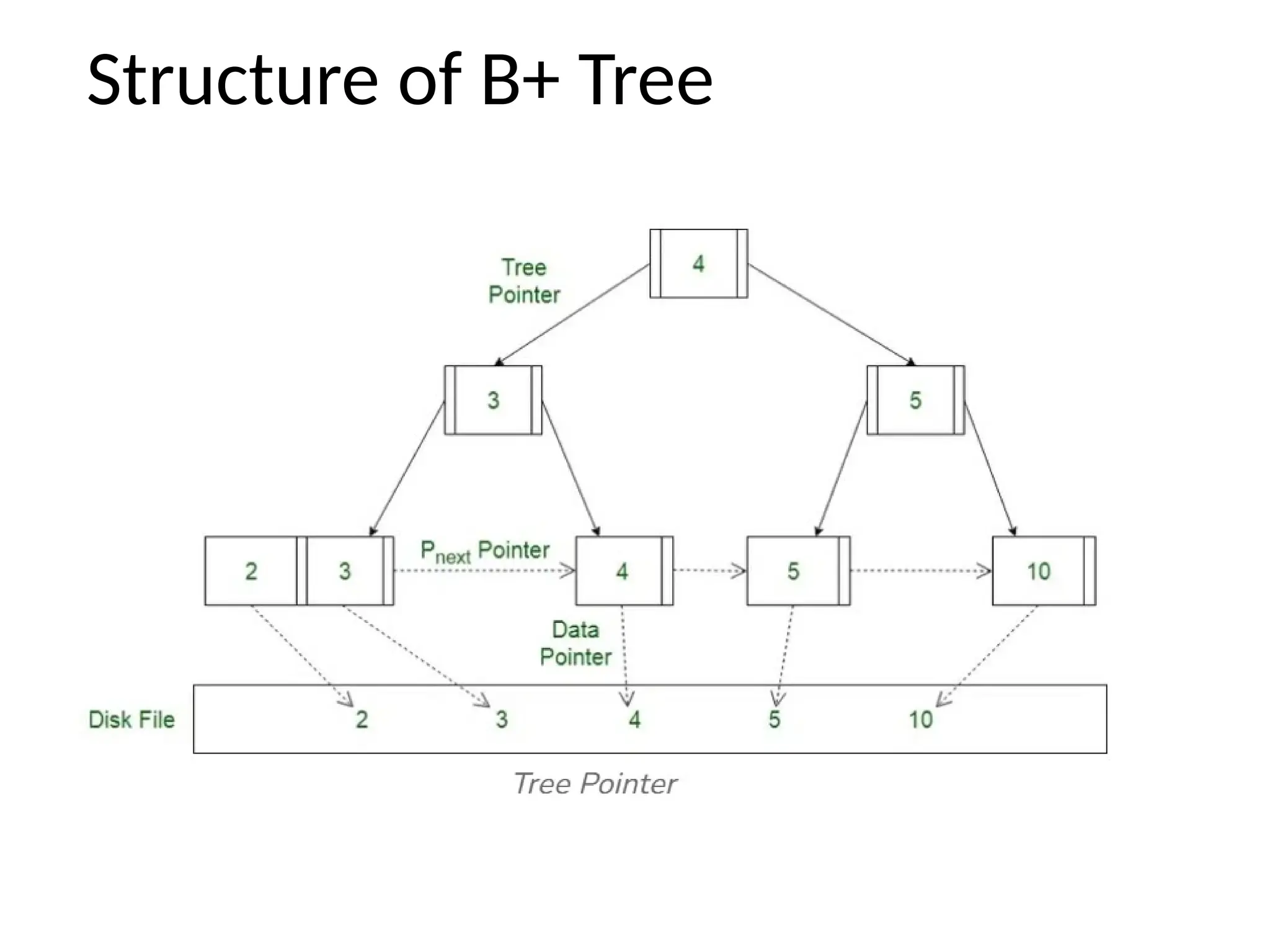 Structure of B+ Tree
 