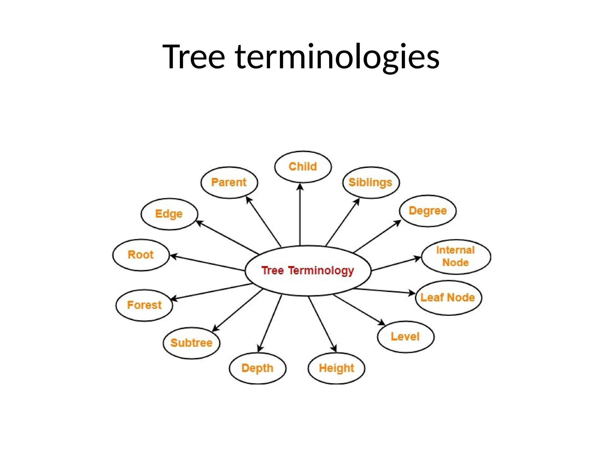 Tree terminologies
 