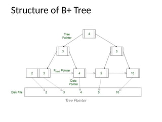 Structure of B+ Tree
 