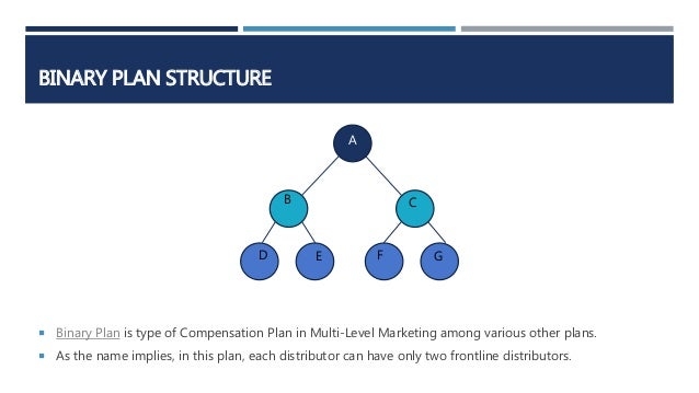 Network Marketing Business Binary Plan