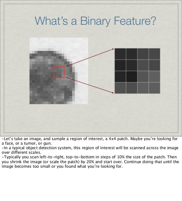 Binary Features for Object Detection and Landmarking