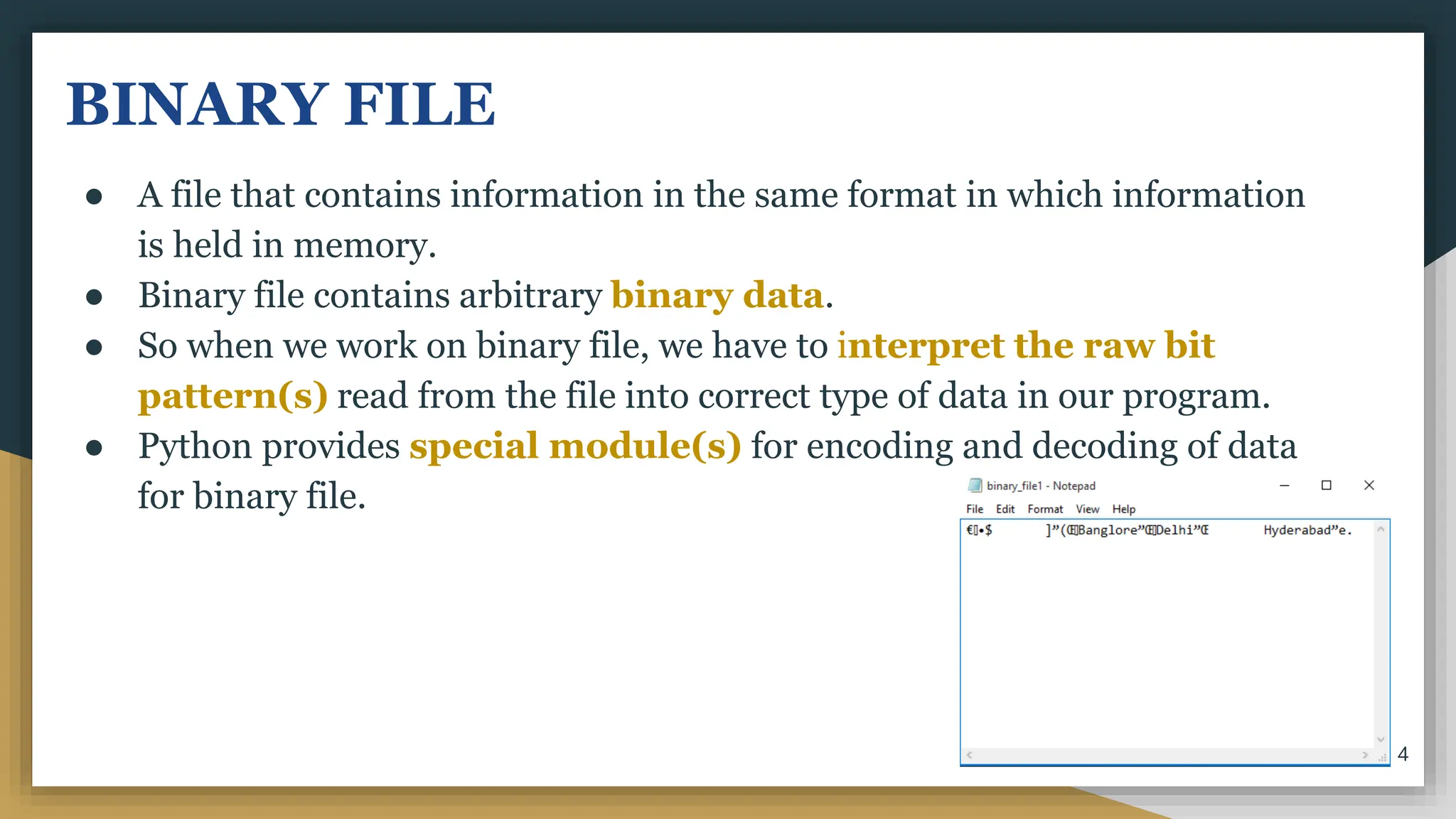 Binary File.pptx
