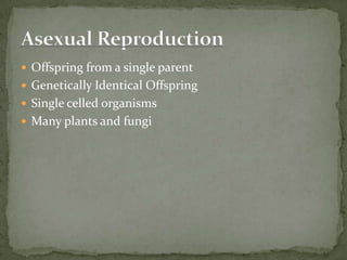  Offspring from a single parent
Genetically Identical Offspring
Single celled organisms
Many plants and fungi