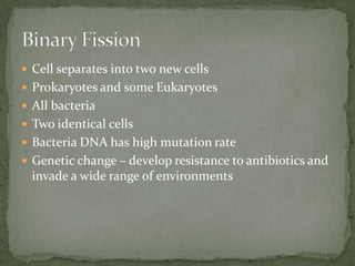  Cell separates into two new cells
Prokaryotes and some Eukaryotes
All bacteria
Two identical cells
Bacteria DNA has high mutation rate
Genetic change – develop resistance to antibiotics and
invade a wide range of environments