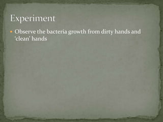  Observe the bacteria growth from dirty hands and
‘clean’ hands