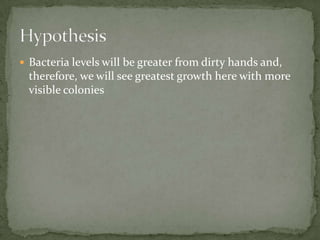  Bacteria levels will be greater from dirty hands and,
therefore, we will see greatest growth here with more
visible colonies