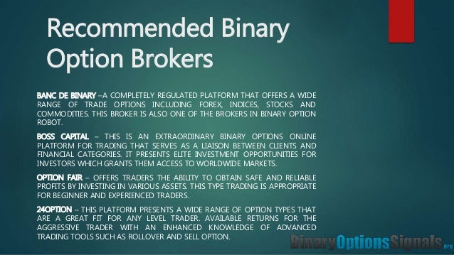 binary options the beginner