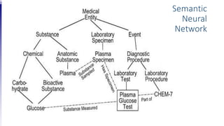 Semantic
Neural
Network
 