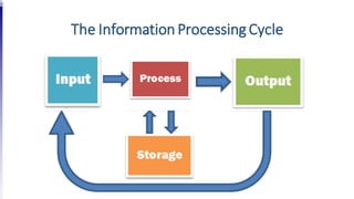 The Information ProcessingCycle
 