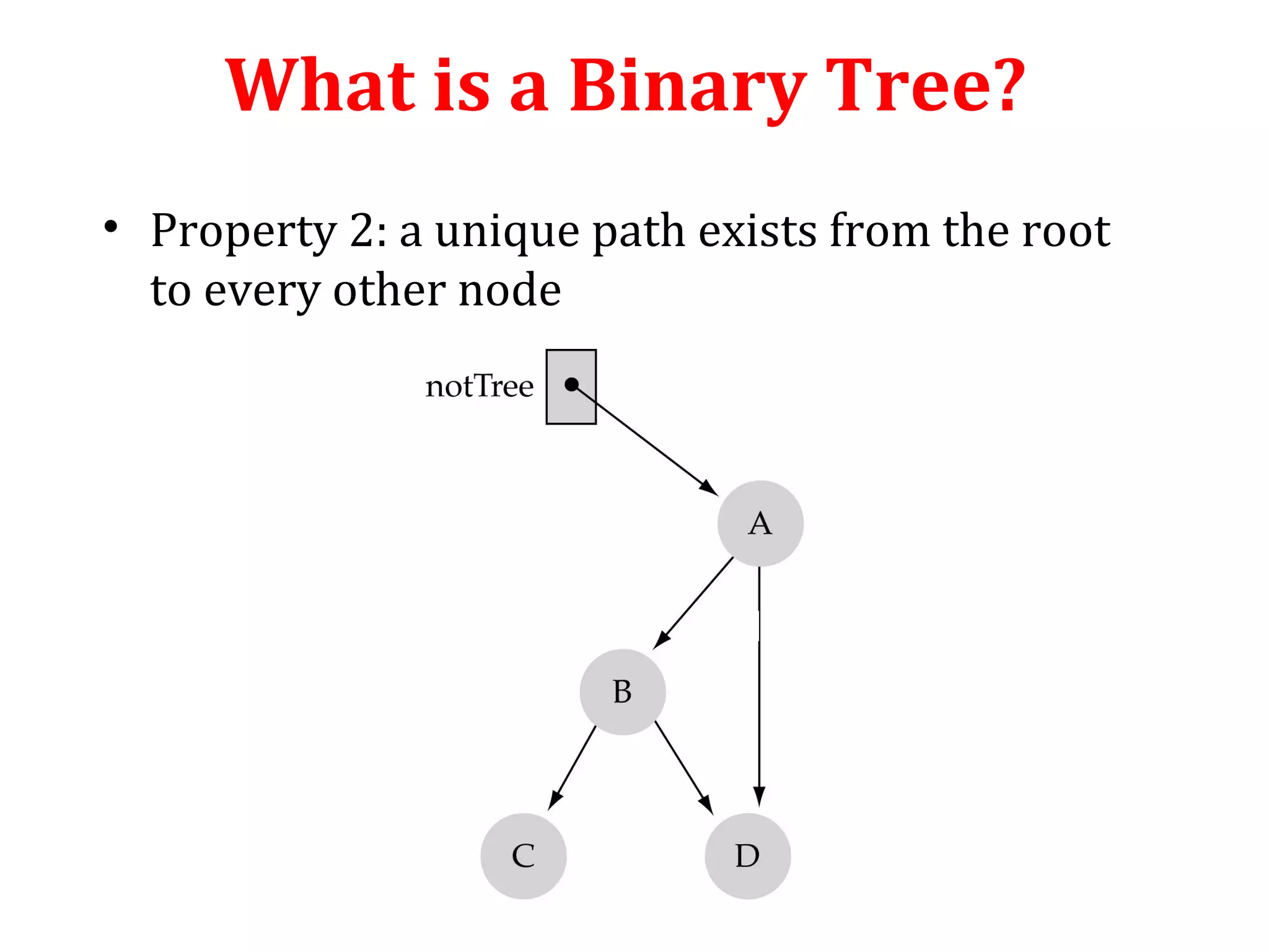 What is a Binary Tree? 
• Property 2: a unique path exists from the root 
to every other node 
Not a valid binary tree! 
 