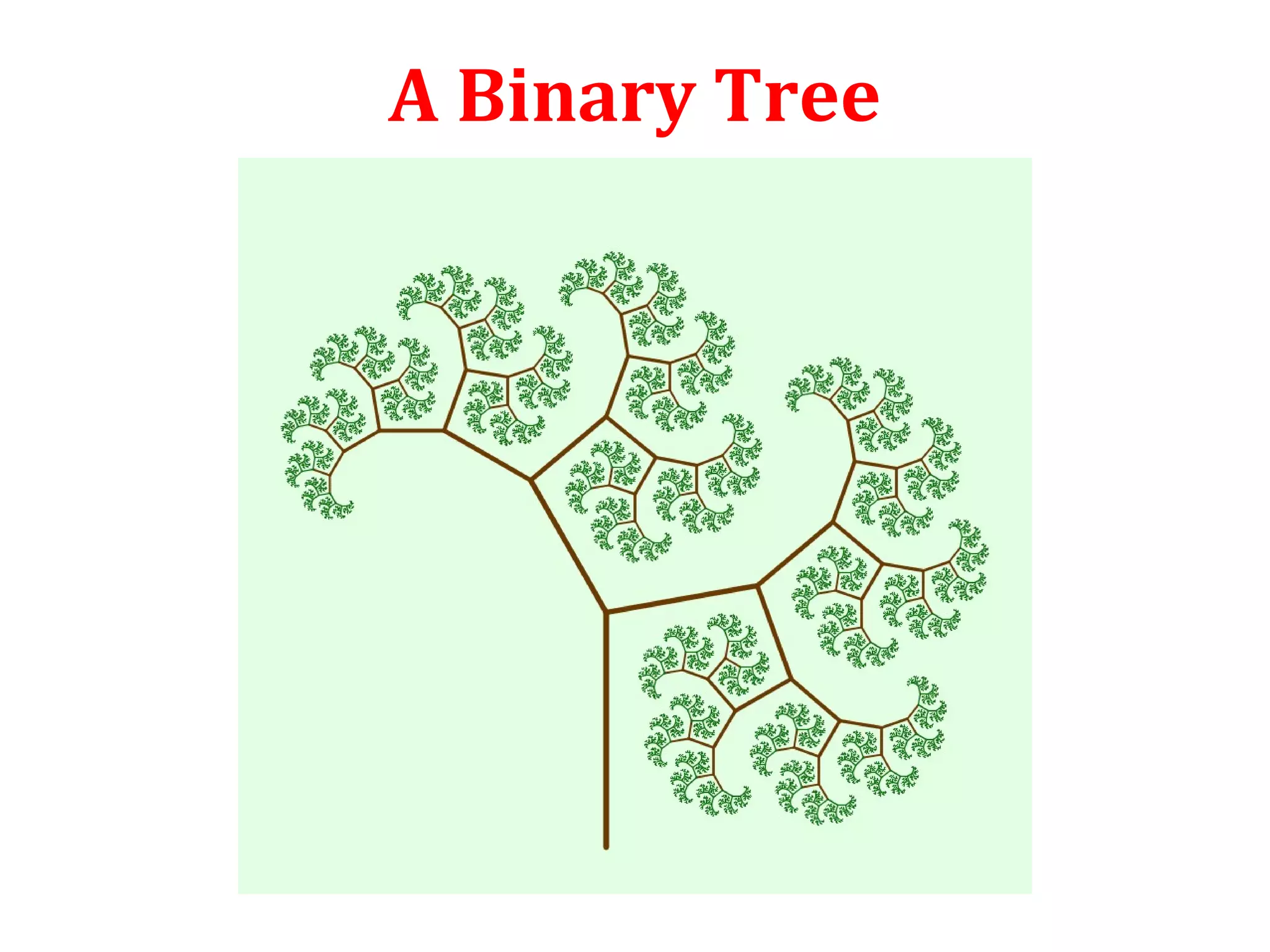A Binary Tree 
 