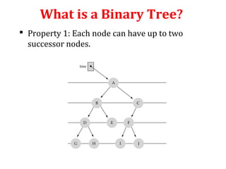 What is a Binary Tree? 
 Property 1: Each node can have up to two 
successor nodes. 
 