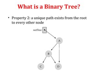 What is a Binary Tree? 
• Property 2: a unique path exists from the root 
to every other node 
Not a valid binary tree! 
 